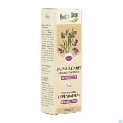 Herbalgem Baume Levre Consoude Bio 10ml