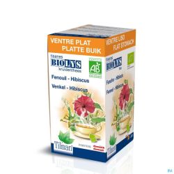 Thé Biolys Fenouil-hibiscus Bio 20 Sachets