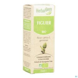 Herbalgem Figuier Macerat Bio 15 Ml