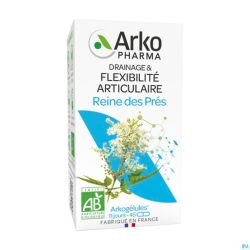 Arkogelules Reine Pres Bio Gélules 45