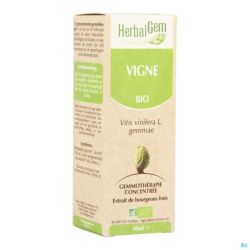 Herbalgem Vigne Macerat Bio 50 Ml