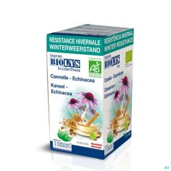 Thé Biolys Cannelle Echinacea 20 Sachets