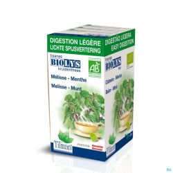 Thé Biolys Melisse-menthe Bio 20 Sachets