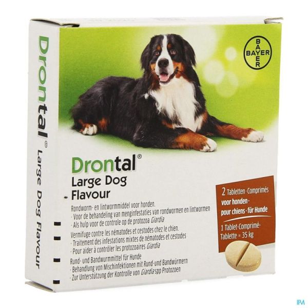 Drontal Large Dog Flavour Comprimés 2