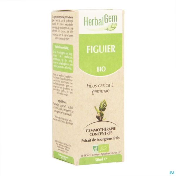 Herbalgem Figuier Macerat Bio 50 Ml